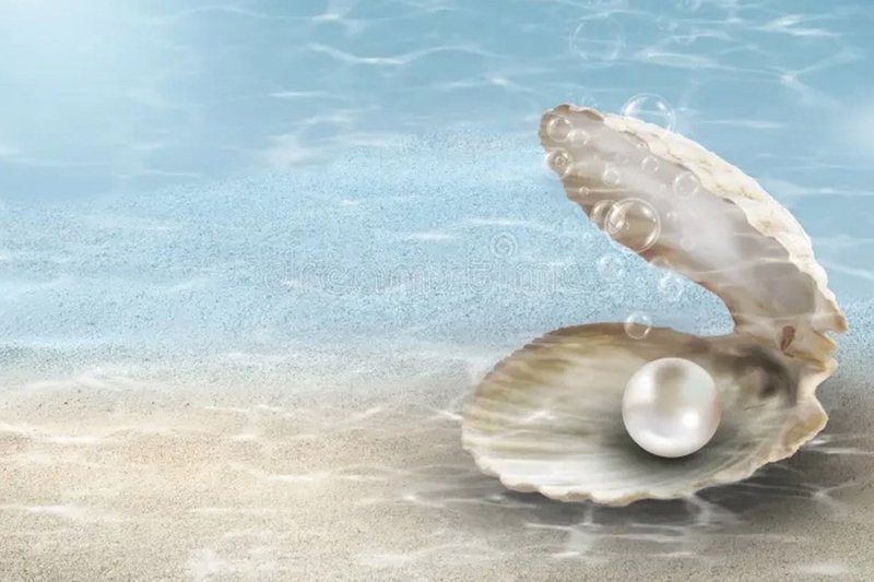 Cách phân biệt ngọc trai thật giả 21