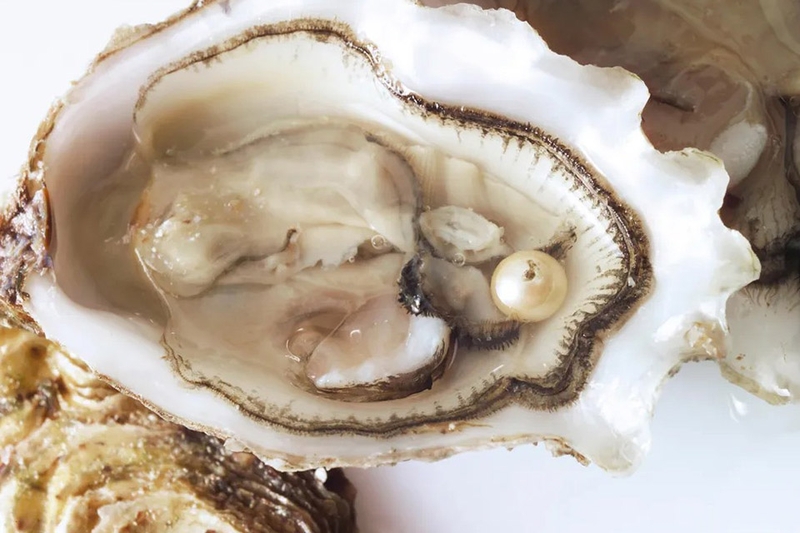 Cách phân biệt ngọc trai thật giả 2