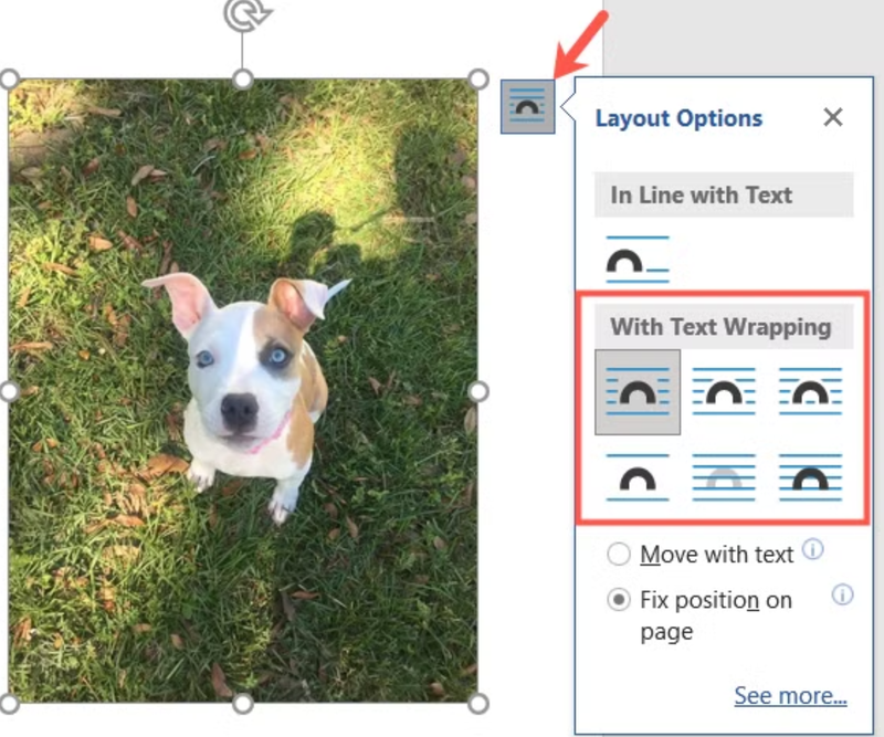 cách sắp xếp ảnh chồng lên nhau trong word - Hình 4
