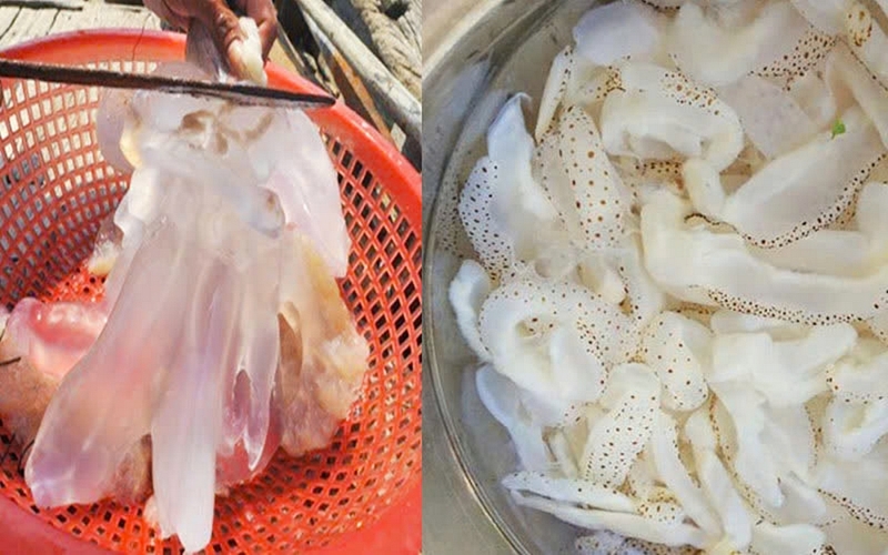 Cách sơ chế sứa biển ảnh 2