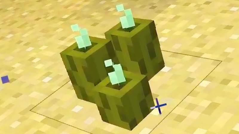 Cách sử dụng Sea Pickle trong Minecraft - 06