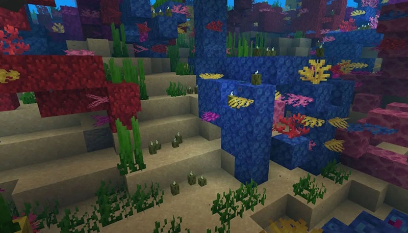 Cách sử dụng Sea Pickle trong Minecraft - 04