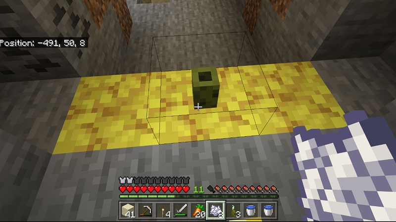 Cách sử dụng Sea Pickle trong Minecraft - 02