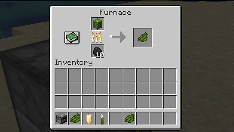 Cách sử dụng Sea Pickle trong Minecraft - 01
