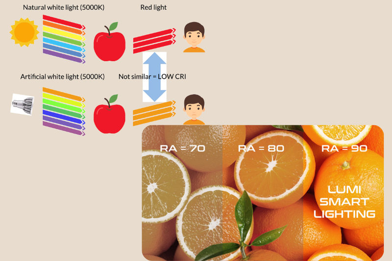 cách sử dụng đèn bàn led (3)