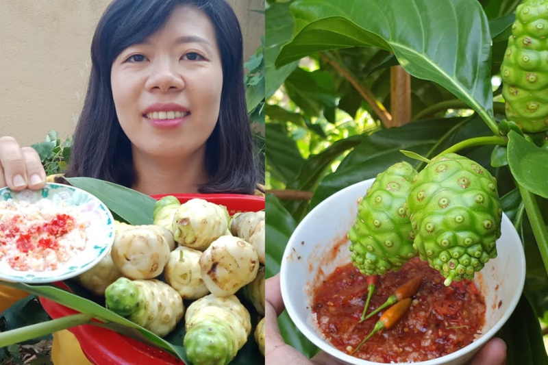 cách sử dụng trái nhàu tươi (2)