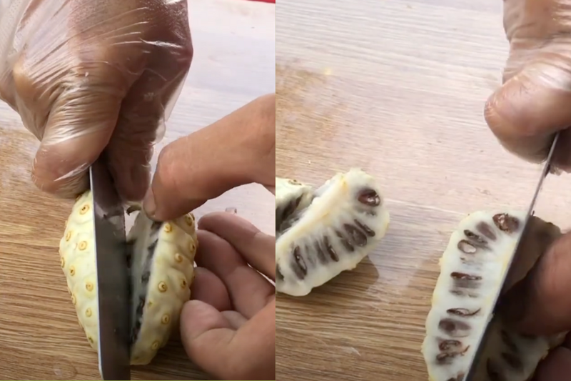 cách sử dụng trái nhàu tươi (3)