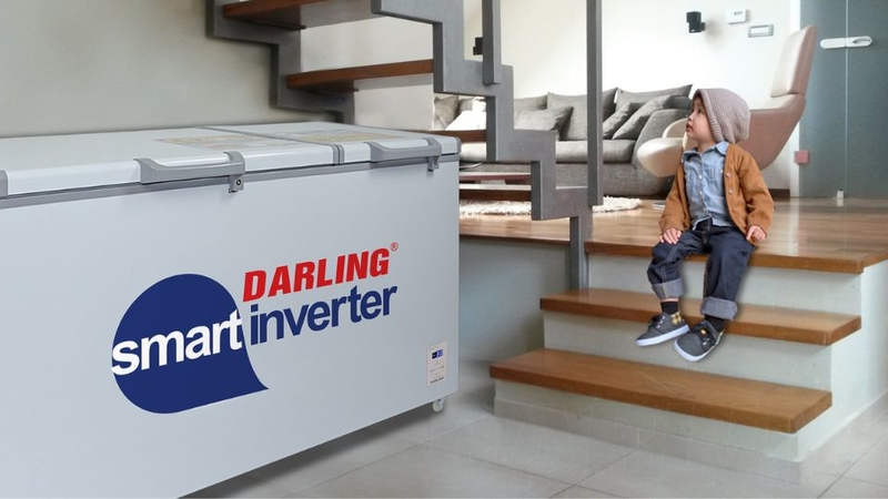 cách sử dụng tủ đông Darling 2