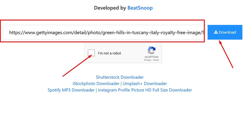 cách tải ảnh bằng Gettyimages (hình 7)