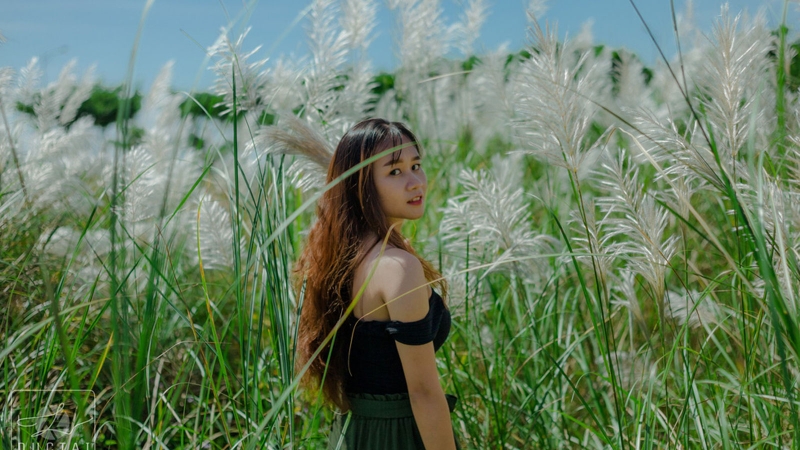 cách tạo dáng chụp ảnh với cỏ lau 3