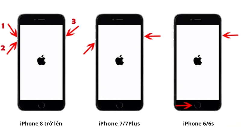 Bước 2: Đưa iPhone vào chế độ Recovery