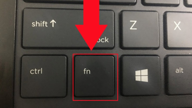 tắt phím Fn trên laptop HP 6