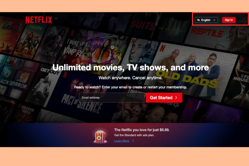 Cách thay đổi phương thức thanh toán Netflix (7)