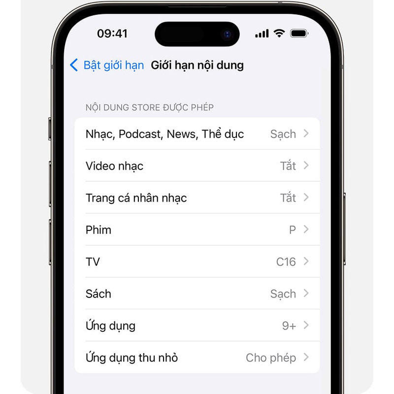 cach-thiet-lap-quyen-kiem-soat-tren-iphone-ipad-4.png