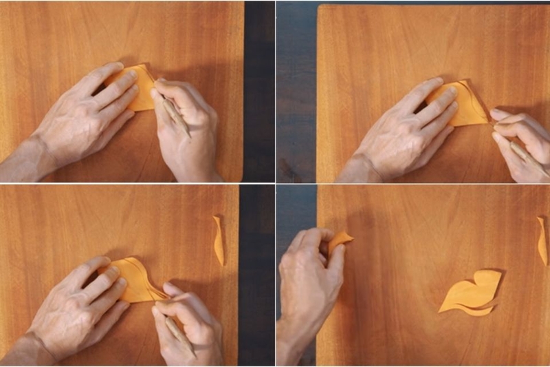 Cách tỉa hoa cà rốt 10