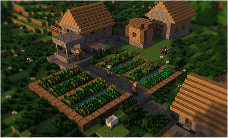 cach-tim-lang-trong-minecraft-1.jpg