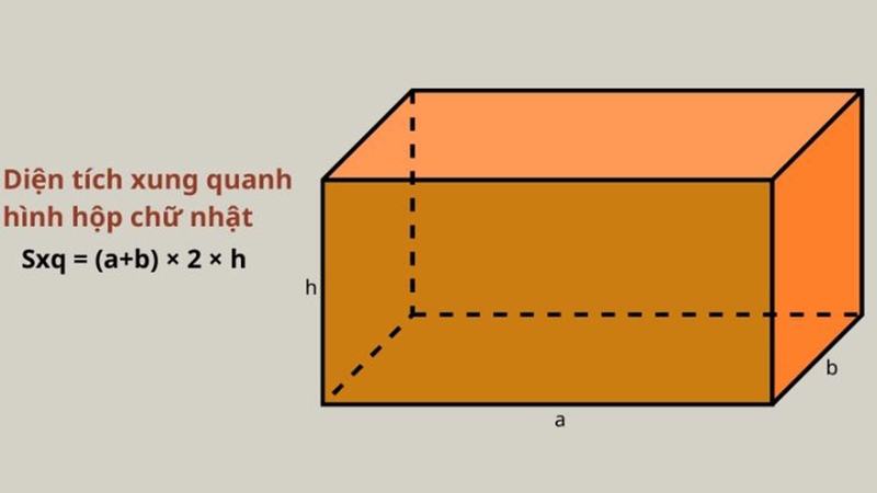 Công thức diện tích hình hộp chữ nhật