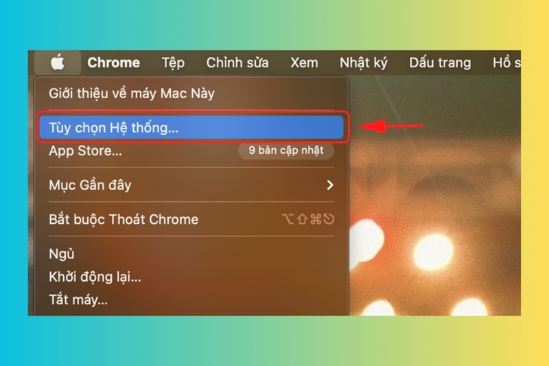 cách truy cập vào MacBook khi quên mật khẩu hình 10