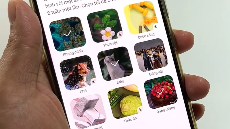 Nhấn nút tải ở các chủ đề mình yêu thích