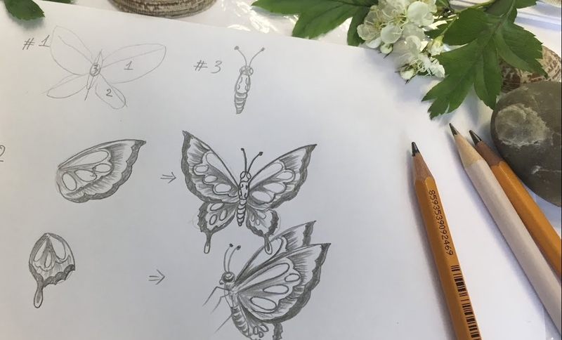 cách vẽ con bướm 21