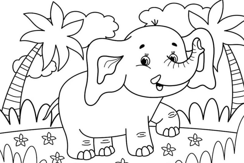 cách vẽ con voi 15