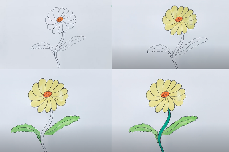 cách vẽ hoa cúc (4)