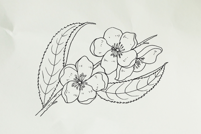 cách vẽ hoa đào hình 8