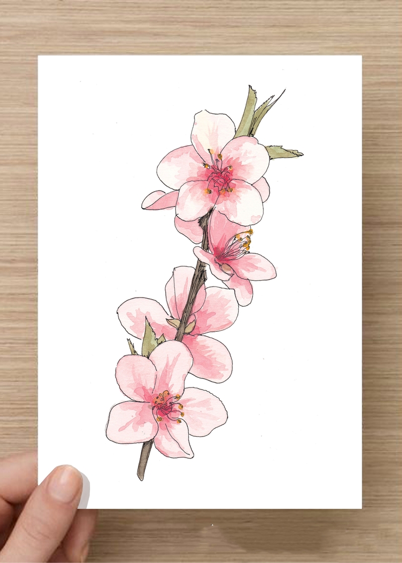 cách vẽ hoa đào hình 10