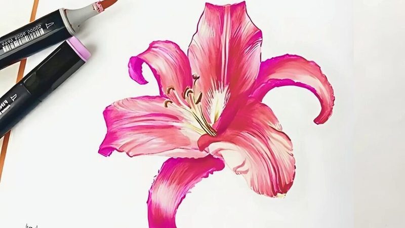 Tô màu và hoàn thiện bức tranh hoa ly
