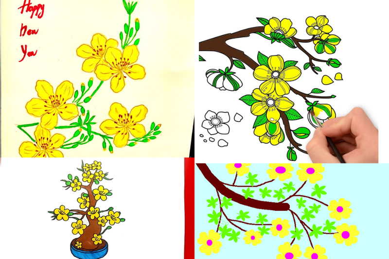 cách vẽ hoa mai (6)