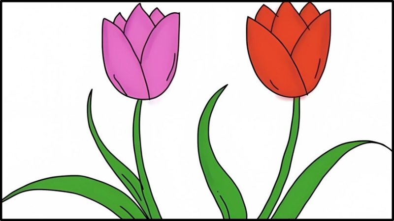 Cách vẽ hoa tulip bé dễ dàng thực hiện