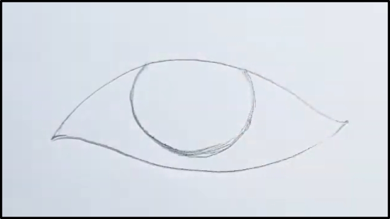 Vẽ mí trên, dưới và tròng đen