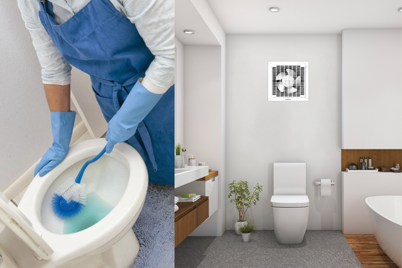 cách vệ sinh bồn cầu (2)