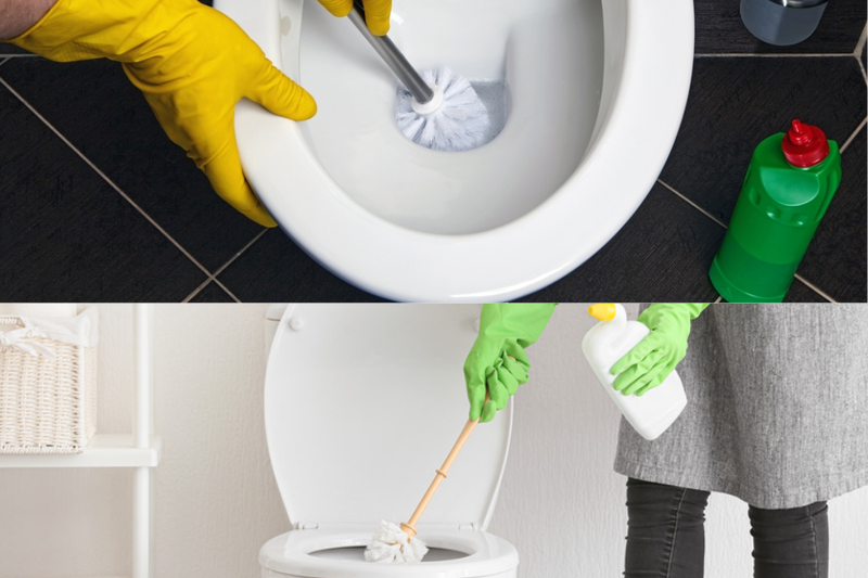 cách vệ sinh bồn cầu (5)