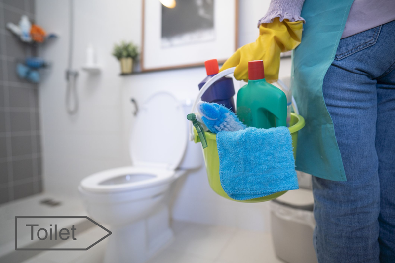 cách vệ sinh bồn cầu (7)