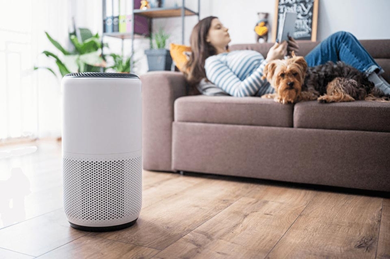 Cách vệ sinh máy lọc không khí đơn giản - 02