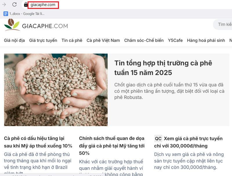 Xem giá cà phê trên trang web Giacaphe.com