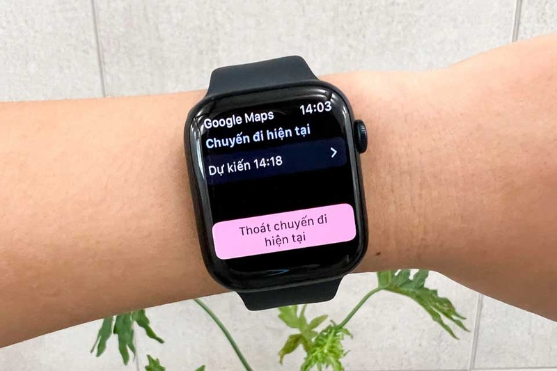 Cách xem Google Maps trên Apple Watch - 02