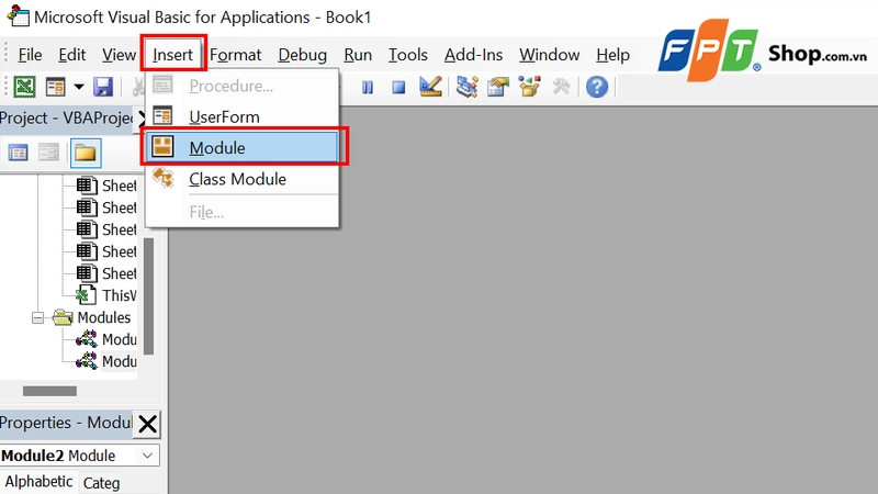 Vào tab Insert và chọn Module