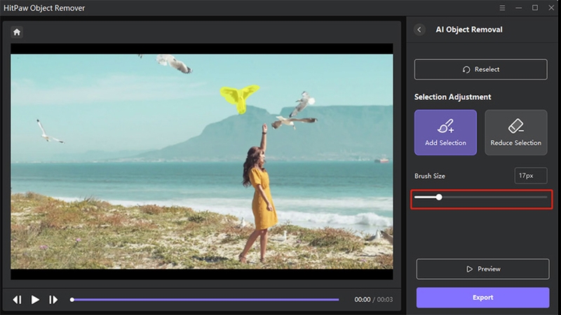 HitPaw Video Object Remover