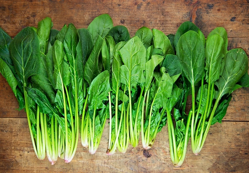 cải bó xôi ảnh 1