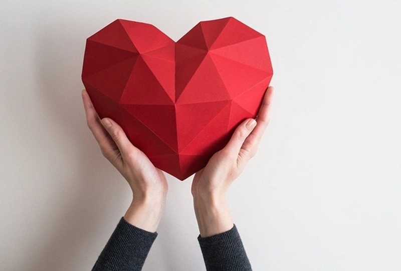 cải bó xôi ảnh 3