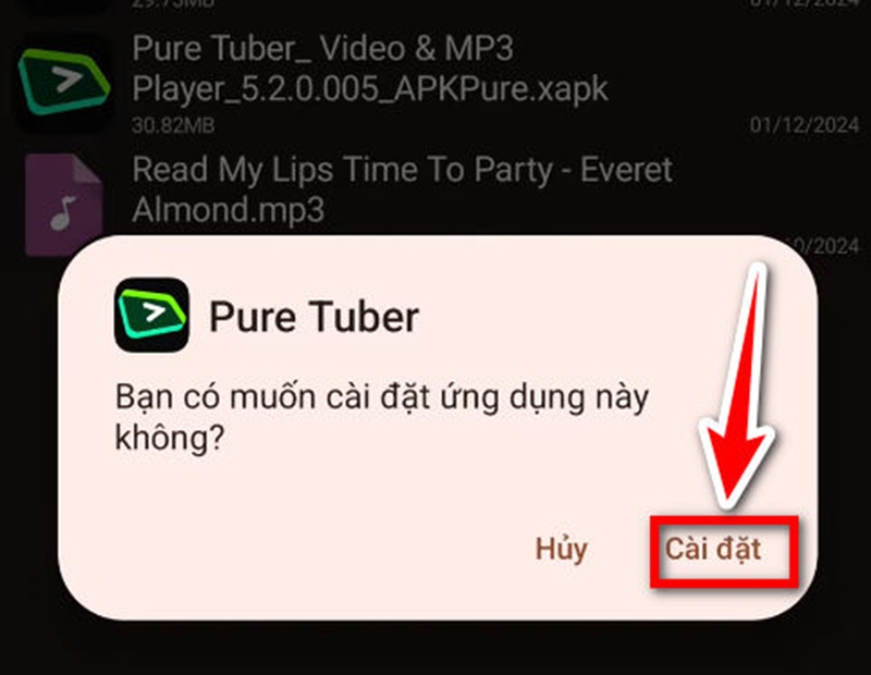 Cài đặt XAPK - 08