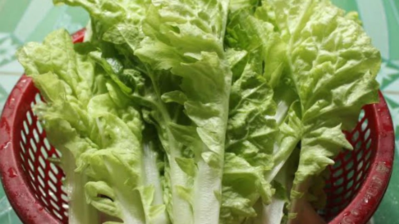 Bước 1: Sơ chế cải dún