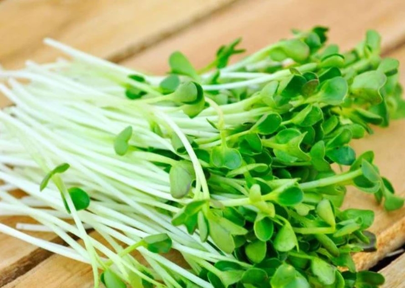 cải mầm nấu nghêu 1