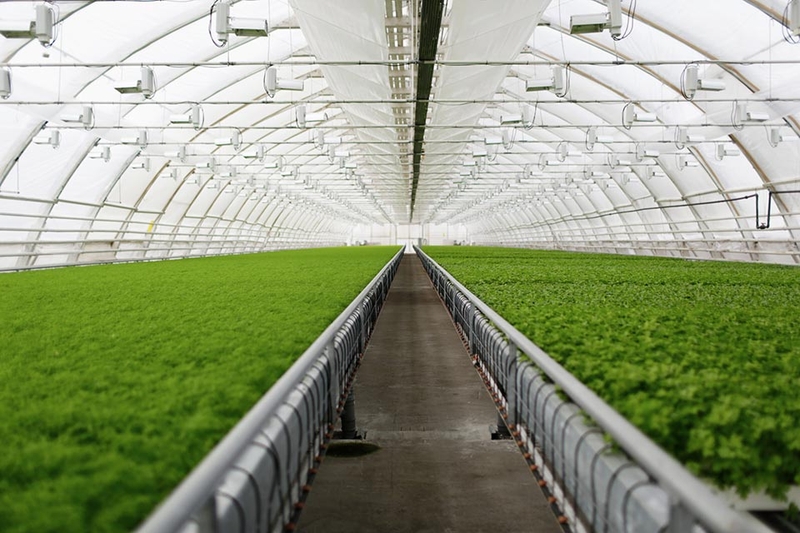 Cảm biến nồng độ CO2 - Ảnh 09