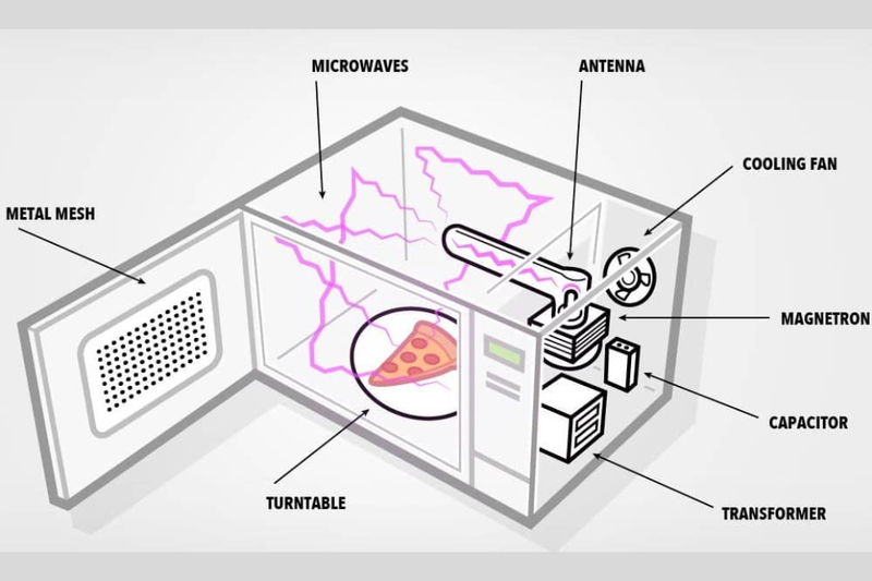 cấm kị khi sử dụng l&ograve; vi s&oacute;ng (1)