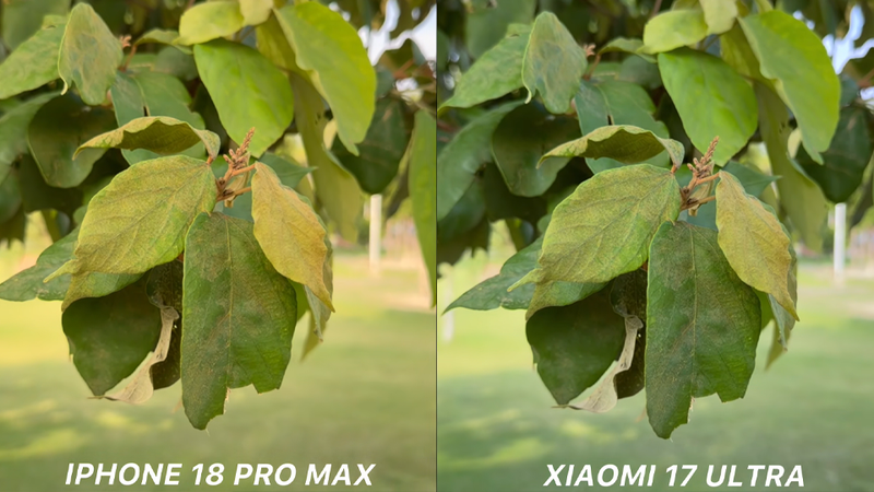 Ảnh xóa phông được xử lý tốt