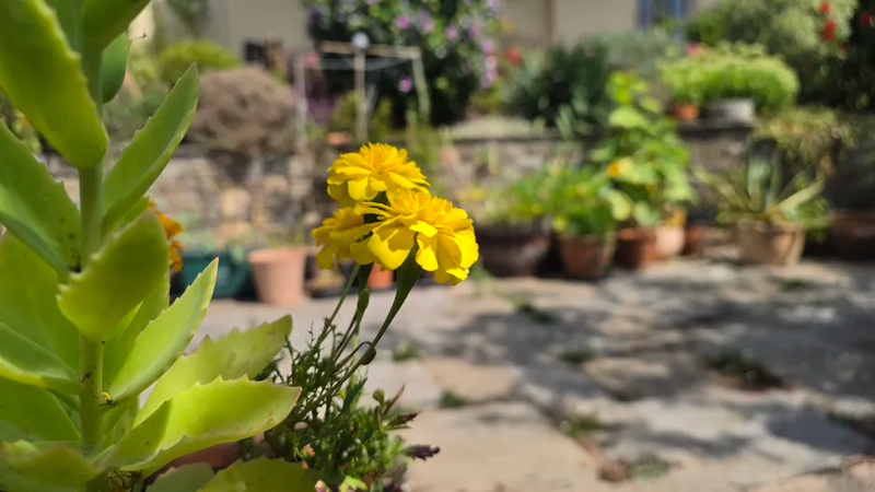 Camera Samsung Galaxy Z Fold 8 Ultra 6