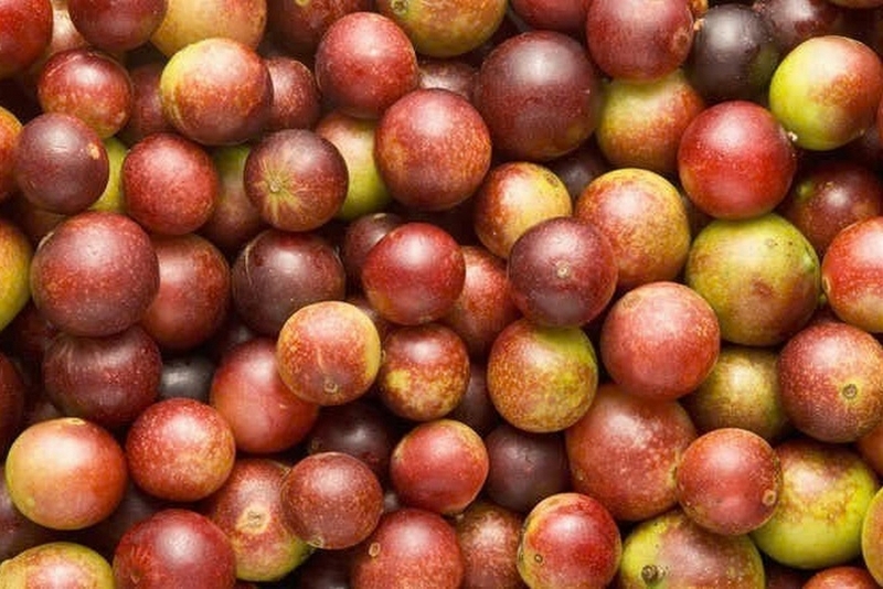 camu camu ảnh 1